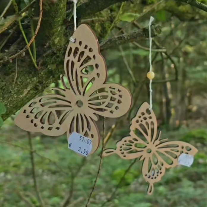 Schmetterling