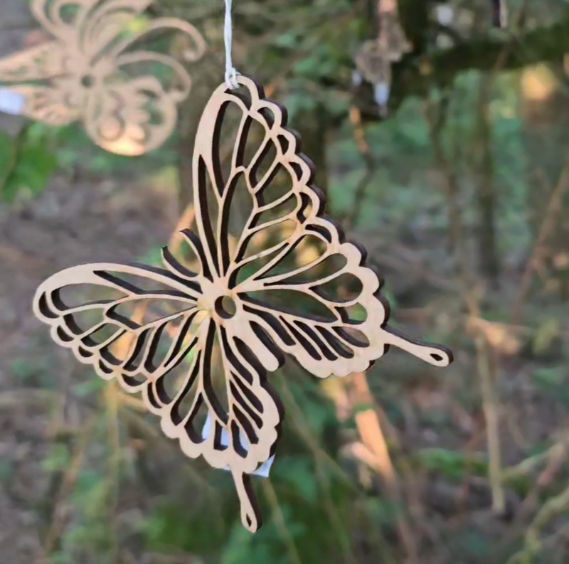 Schmetterling
